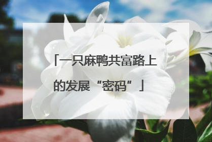 一只麻鸭共富路上的发展“密码”