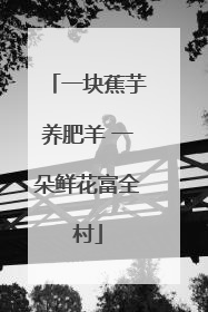 一块蕉芋养肥羊 一朵鲜花富全村