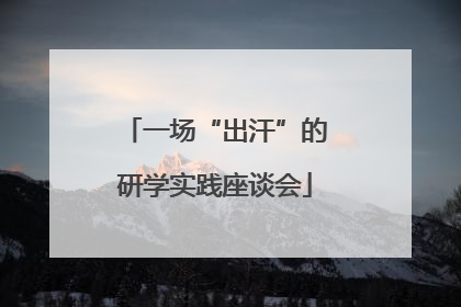 一场“出汗”的研学实践座谈会