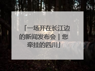 一场开在长江边的新闻发布会｜您牵挂的四川