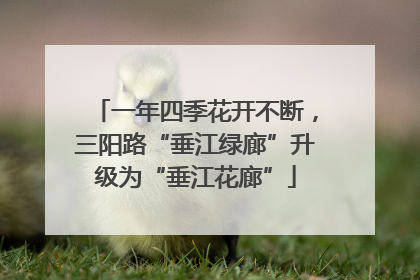 一年四季花开不断，三阳路“垂江绿廊”升级为“垂江花廊”