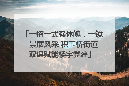 一招一式强体魄，一镜一景展风采 积玉桥街道双课赋能楼宇党建