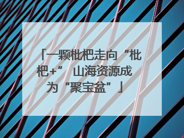 一颗枇杷走向“枇杷+” 山海资源成为“聚宝盆”