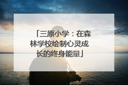 三原小学：在森林学校绘制心灵成长的终身能量