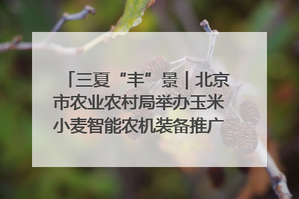 三夏“丰”景｜北京市农业农村局举办玉米小麦智能农机装备推广“田间日”活动