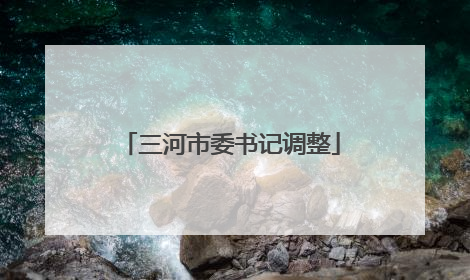 三河市委书记调整