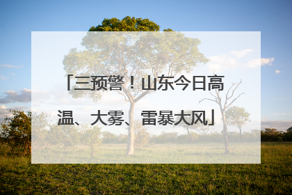 三预警！山东今日高温、大雾、雷暴大风
