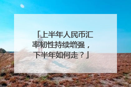 上半年人民币汇率韧性持续增强，下半年如何走？