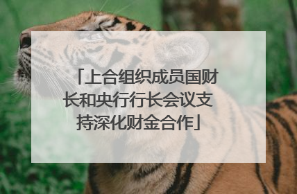 上合组织成员国财长和央行行长会议支持深化财金合作