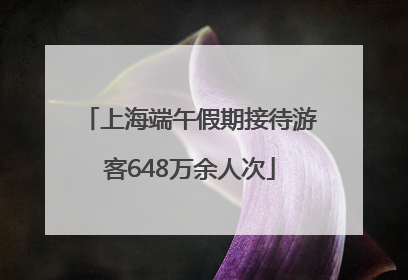 上海端午假期接待游客648万余人次