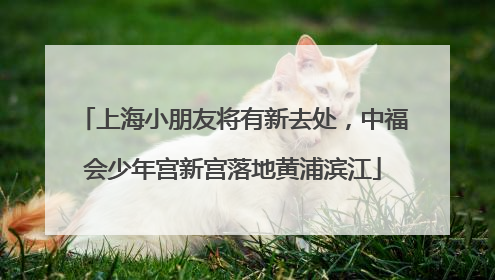 上海小朋友将有新去处，中福会少年宫新宫落地黄浦滨江