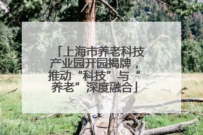 上海市养老科技产业园开园揭牌，推动“科技”与“养老”深度融合