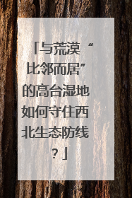 与荒漠“比邻而居”的高台湿地如何守住西北生态防线？