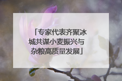专家代表齐聚冰城共谋小麦振兴与杂粮高质量发展
