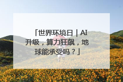 世界环境日｜AI升级，算力狂飙，地球能承受吗？