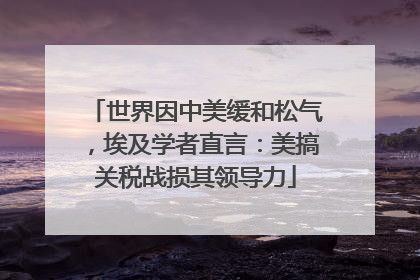 世界因中美缓和松气，埃及学者直言：美搞关税战损其领导力