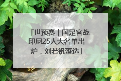 世预赛｜国足客战印尼25人大名单出炉，刘若钒落选