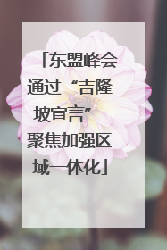 东盟峰会通过“吉隆坡宣言” 聚焦加强区域一体化