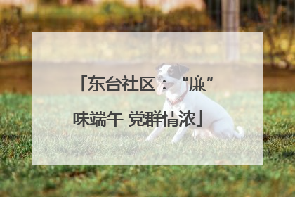 东台社区：“廉”味端午 党群情浓