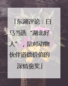 东湖评论：白马当选“湖北好人”，是对动物伙伴道德价值的深情褒奖