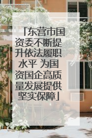 东营市国资委不断提升依法履职水平 为国资国企高质量发展提供坚实保障