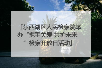 东西湖区人民检察院举办“携手关爱 共护未来”检察开放日活动
