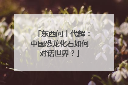 东西问丨代辉：中国恐龙化石如何对话世界？