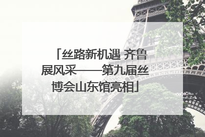 丝路新机遇 齐鲁展风采——第九届丝博会山东馆亮相
