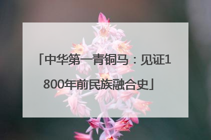 中华第一青铜马：见证1800年前民族融合史