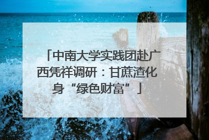 中南大学实践团赴广西凭祥调研：甘蔗渣化身“绿色财富”
