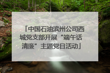 中国石油滨州公司西城党支部开展“端午话清廉”主题党日活动