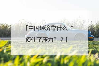 中国经济靠什么“顶住了压力”？