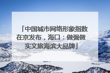中国城市网络形象指数在京发布，海口：做强做实文旅海滨大品牌
