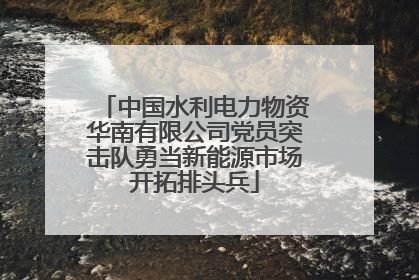 中国水利电力物资华南有限公司党员突击队勇当新能源市场开拓排头兵