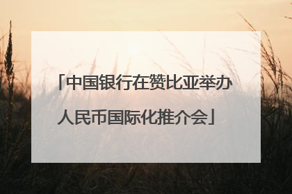 中国银行在赞比亚举办人民币国际化推介会