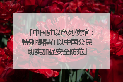 中国驻以色列使馆：特别提醒在以中国公民切实加强安全防范