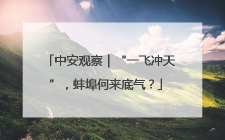 中安观察｜“一飞冲天”，蚌埠何来底气？