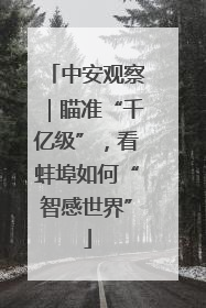 中安观察｜瞄准“千亿级”，看蚌埠如何“智感世界”