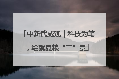 中新武威观｜科技为笔，绘就夏粮“丰”景