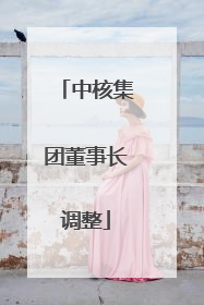 中核集团董事长调整