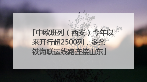 中欧班列（西安）今年以来开行超2500列，多条铁海联运线路连接山东