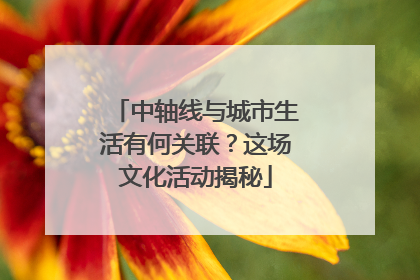 中轴线与城市生活有何关联？这场文化活动揭秘