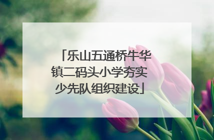 乐山五通桥牛华镇二码头小学夯实少先队组织建设