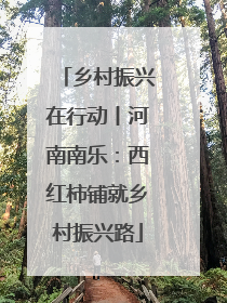 乡村振兴在行动丨河南南乐：西红柿铺就乡村振兴路