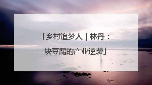 乡村追梦人｜林丹：一块豆腐的产业逆袭