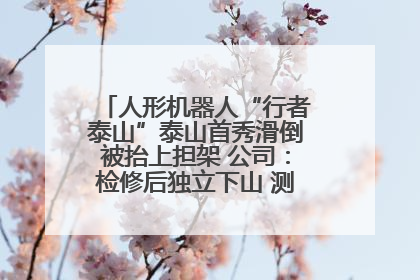 人形机器人“行者泰山”泰山首秀滑倒被抬上担架 公司：检修后独立下山 测试就是为暴露问题