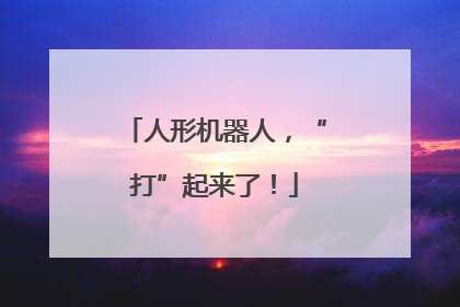 人形机器人，“打”起来了！