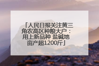 人民日报关注黄三角农高区种粮大户：用上新品种 盐碱地亩产超1200斤