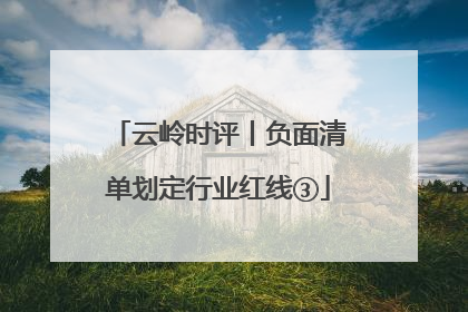 云岭时评丨负面清单划定行业红线③