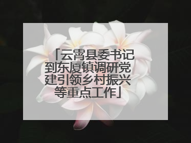 云霄县委书记到东厦镇调研党建引领乡村振兴等重点工作